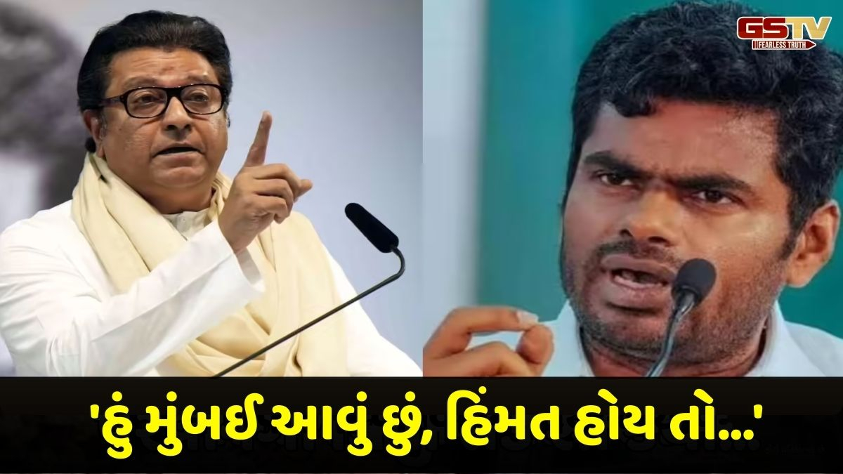 'હિંમત હોય તો મારા પગ કાપી બતાવો': અન્નામલાઈનો રાજ ઠાકરેને ખુલ્લો પડકાર
