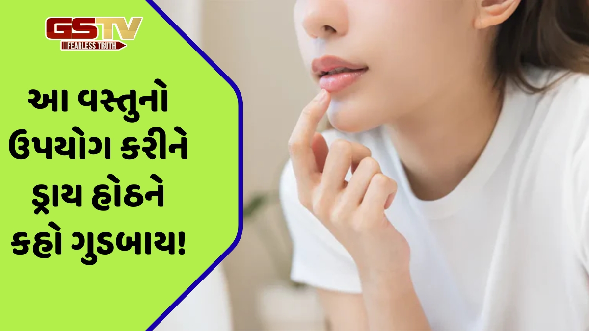 Lips Care / સૂકા અને ફાટેલા હોઠને નરમ બનાવવા અપનાવો કુદરતી રીત, એક જ વારમાં જોવા મળશે પરિણામ!