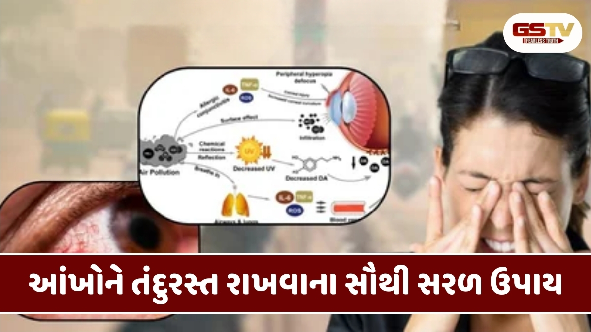 Health Tips :  પ્રદૂષણથી આંખોની વધી રહી છે ગંભીર તકલીફ, 5 આયુર્વેદ નુસ્ખા છે ખૂબ અસરકારક