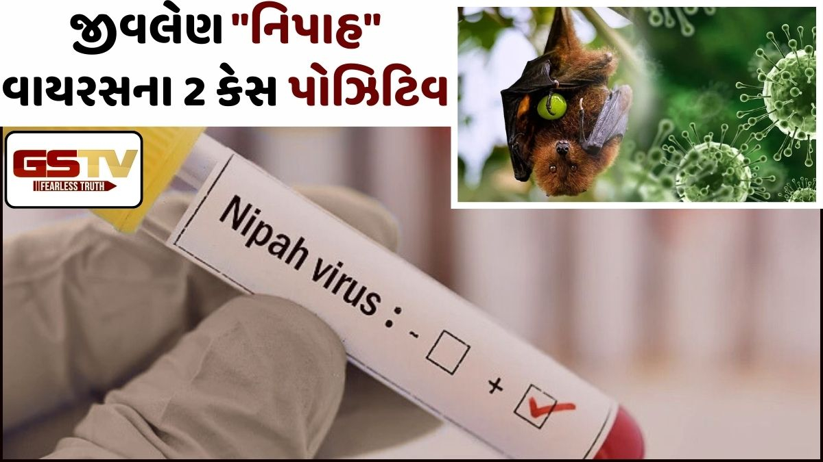 પશ્ચિમ બંગાળમાં નિપાહ વાયરસના 2 સંકાસ્પદ કેસના કારણે હડકંપ! દર્દીઓના સેમ્પલ તાત્કાલિક પુણે લેબમાં મોકલાયા
