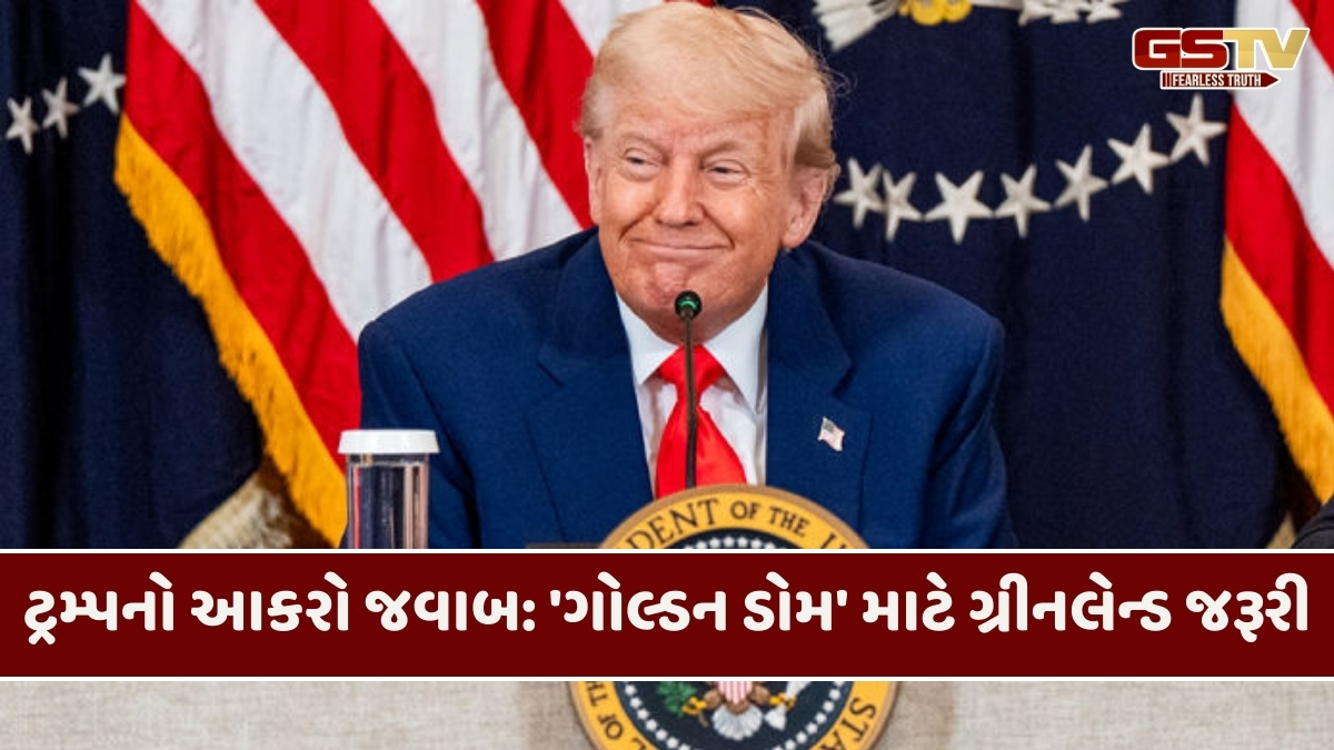 ગ્રીનલેન્ડ-ડેનમાર્કે ટ્રમ્પને સ્પષ્ટ કરી દીધું  કે 'અમે ચીન-રશિયાને સંભાળી લઈશું'