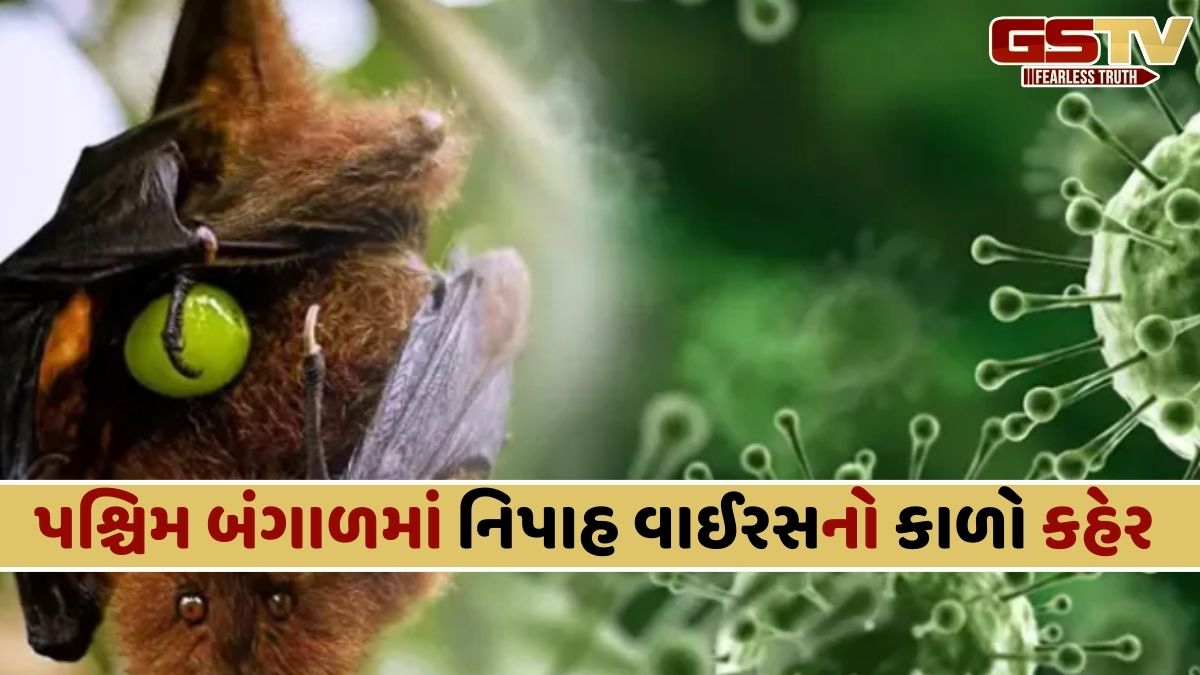 પશ્ચિમ બંગાળ: નિપાહ વાઈરસથી સંક્રમિત લોકોની સંખ્યા વધી, ડોકટરોએ જાહેર કર્યું એલર્ટ