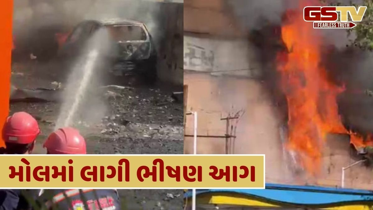 Vadodara News: મોટી જાનહાનિ ટળી, મોલમાં ભીષણ આગ લાગતા ફાયર બ્રિગેડે સંભાળી કમાન