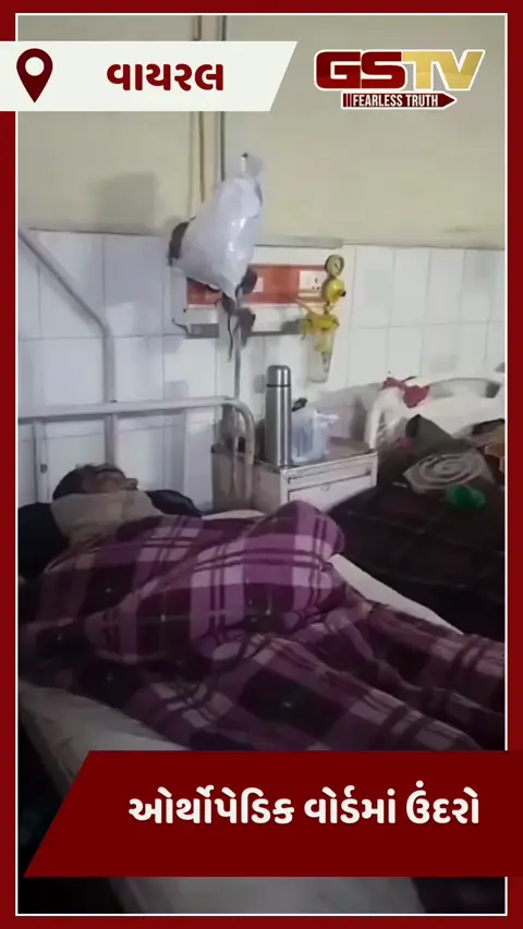 VIDEO : મેડિકલ કોલેજના વોર્ડમાં ઉંદરો ઘુસી ગયા, દર્દીઓના જીવ જોખમમાં મૂક્યા