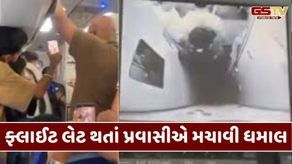 VIDEO: દરવાજા પર લાતો મારવા લાગ્યા પેસેન્જર, ટેક ઓફ અગાઉ ઈન્ડિગોની ફ્લાઈટમાં બબાલ!