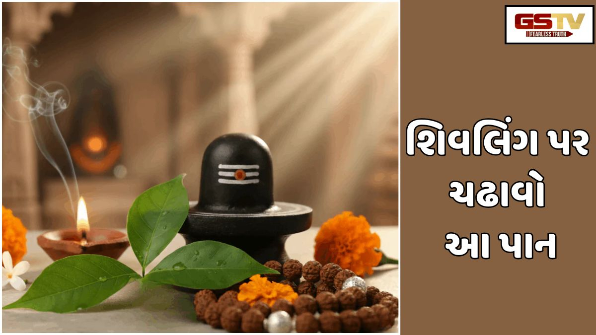 Religion: મૌમૌની અમાવસ્યા પર શિવલિંગ પર આ 5 પાંદડા ચઢાવો, ભગવાન શિવ પ્રસન્ન થશે