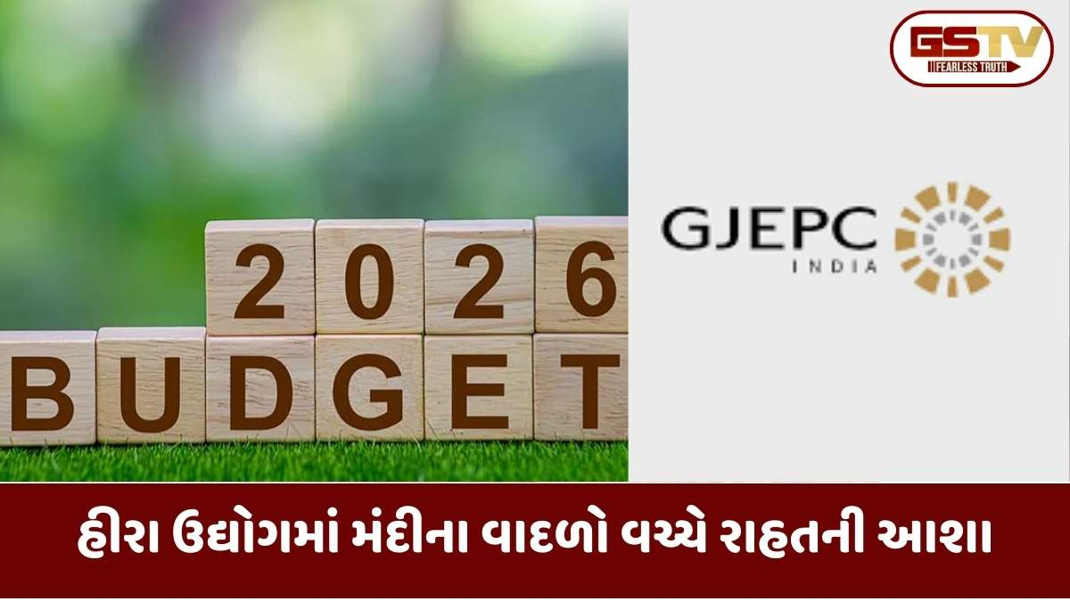 Budget 2026: ભારતને ગ્લોબલ ડાયમંડ હબ બનાવવા GJEPCની નાણા મંત્રી સમક્ષ 8 મોટી રજૂઆતો