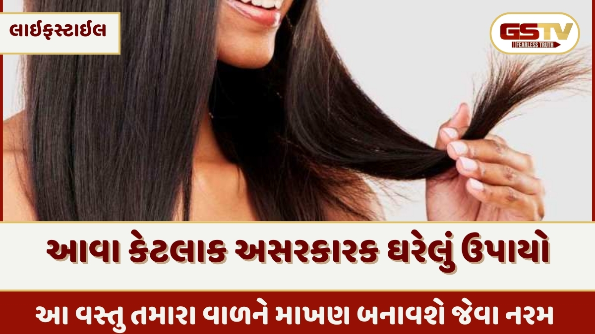 Hair Care Tips : મોંઘા હેર સ્પા ભૂલી જાશો! રસોડાની આ વસ્તુ તમારા વાળને બનાવશે માખણ જેવા નરમ 