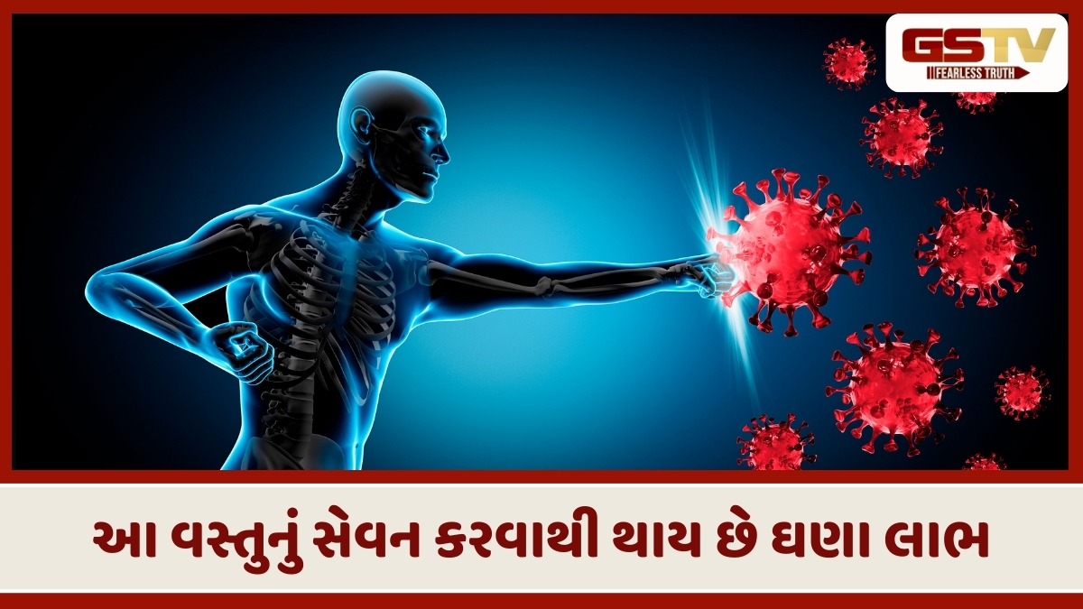 Health Tips: રોગપ્રતિકારક શક્તિ વધશે અને વજન ઘટાડવા ઉપરાંત આ છે વસ્તુના ફાયદા