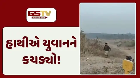 VIDEO: ઝારખંડમાં ગોઝારી ઘટના, હાથીએ યુવાનને ગાડીમાંથી બહાર કાઢીને કચડ્યો