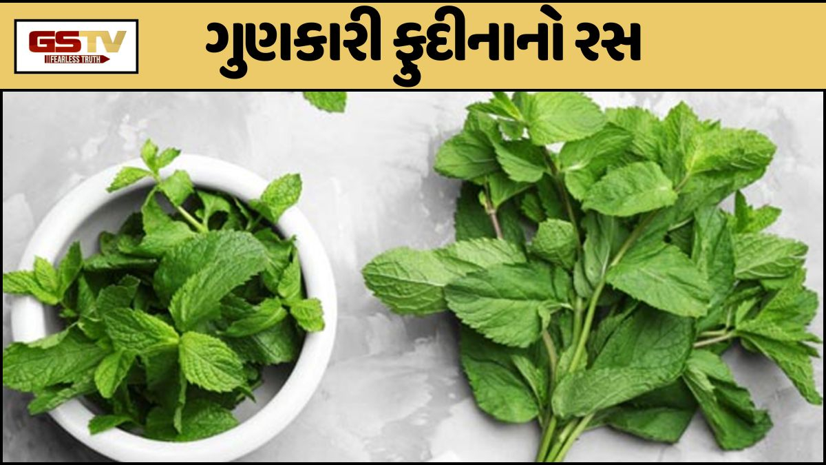 Sahiyar : શું તમને ઊલટી-ઉબકા થાય છે? જાણો ફુદીનાના રસના ચમત્કારી ફાયદા