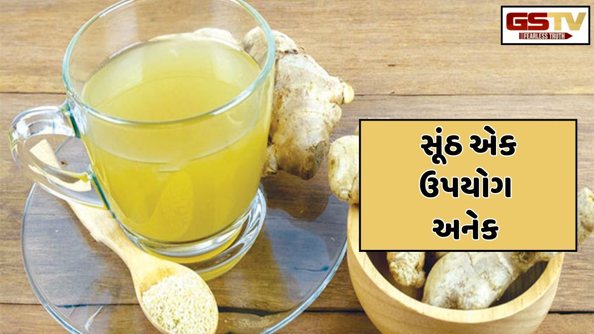 Sahiyar : - શક્તિનું પ્રતીક મનાતી સૂંઠ 64 પ્રકારના રોગોમાં રામબાણ ઔષધની ગરજ સારે છે