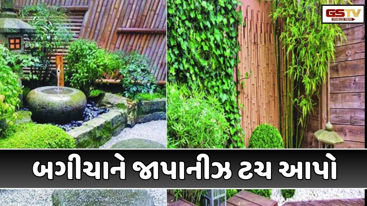 Sahiyar: જાપાનીઝ બગીચાની વિશેષતા હોય છે, તે ખૂબ જ વ્યવસ્થિત રીતે ગોઠવાયેલું  હોય છે