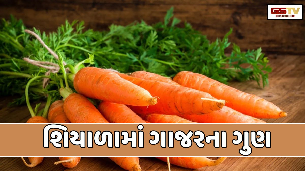 Sahiyar: શિયાળામાં ગાજર ખવાય એટલા ખાવ