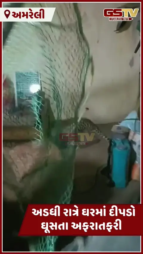 Video/ Amreli: અડધી રાત્રે ઘરમાં દીપડો ઘૂસતા અફરાતફરી: દોઢ કલાકની જહેમત બાદ વનવિભાગે પાંજરે પૂર્યો
