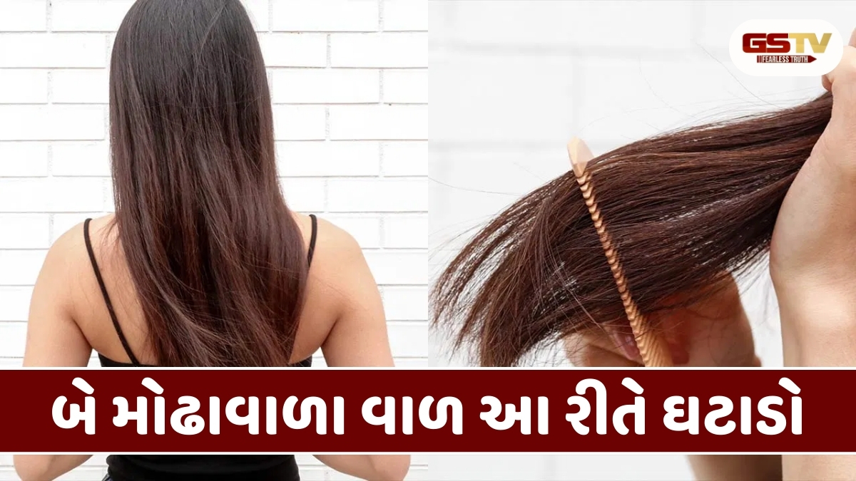 Hair Care Tips: કાપ્યા વિના બે મોઢાવાળા વાળથી કેવી રીતે છુટકારો મેળવવો? અપનાવો આ ઉપાયો