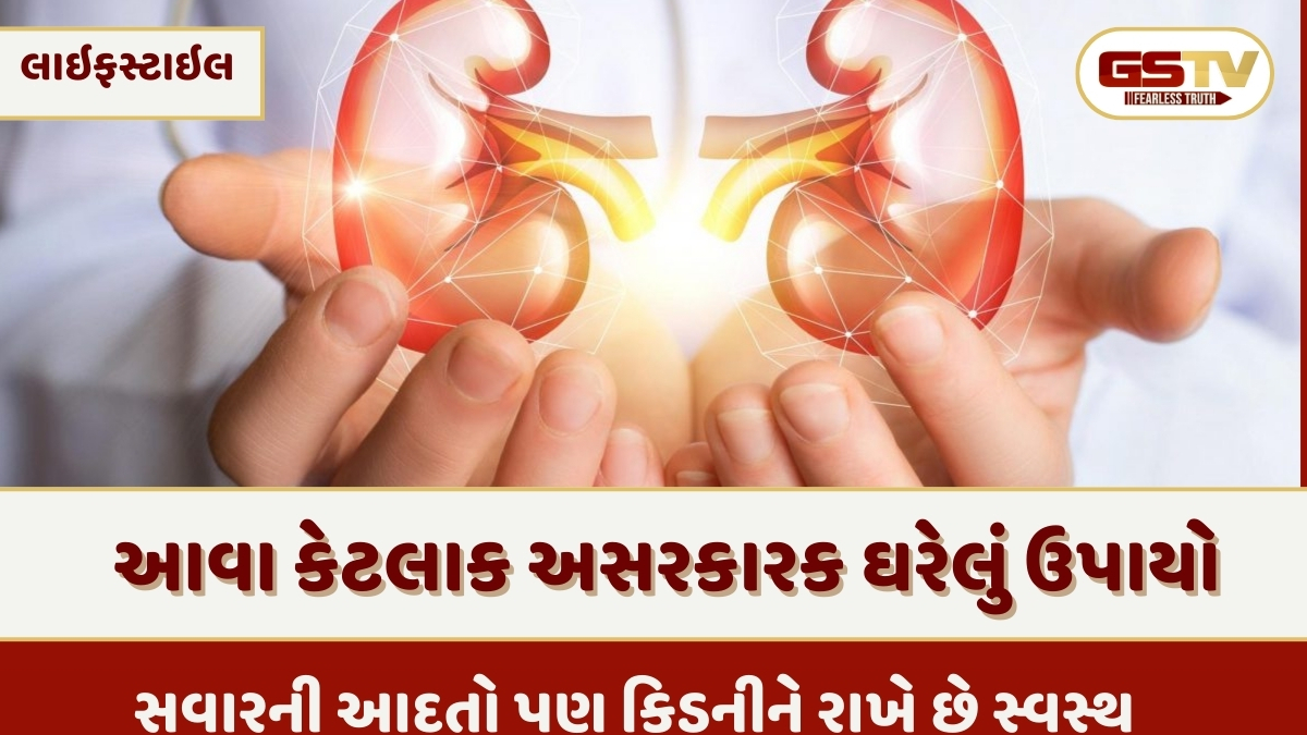 Health Tips : માત્ર ખોરાક જ નહીં, સવારની આદતો પણ કિડનીને રાખે છે સ્વસ્થ 