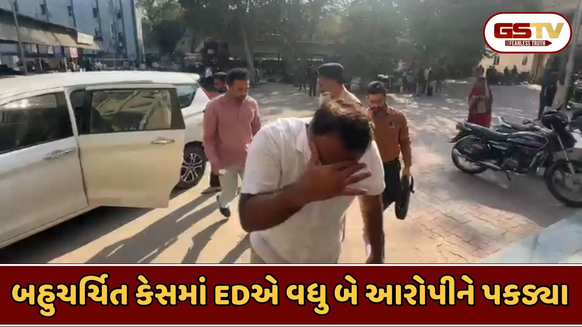 Ahmedabad news: બિટકોઇન કૌભાંડ કેસમાં નલિન કોટડિયાના સંબંધી સહિત બેની ધરપકડ, 5 દિવસના રિમાન્ડ મંજૂર