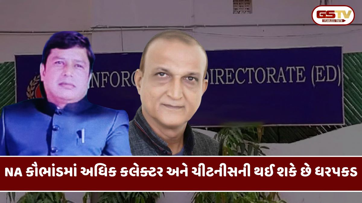 Surendranagar NA કૌભાંડમાં EDના ધામા; કલેક્ટર બાદ હવે અધિક કલેક્ટર અને ચીટનીસની વધશે મુશ્કેલી