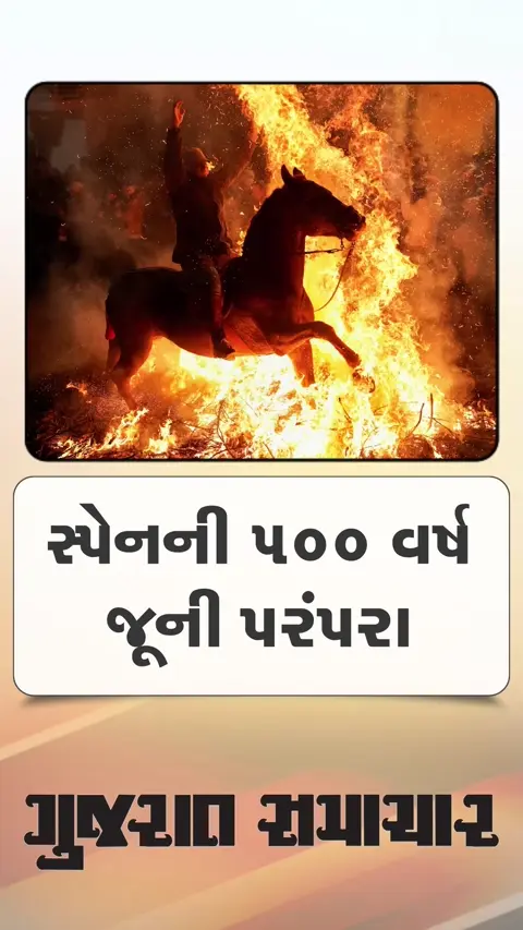 સ્પેનની 500 વર્ષ જૂની પરંપરાનો ઉત્સાહ