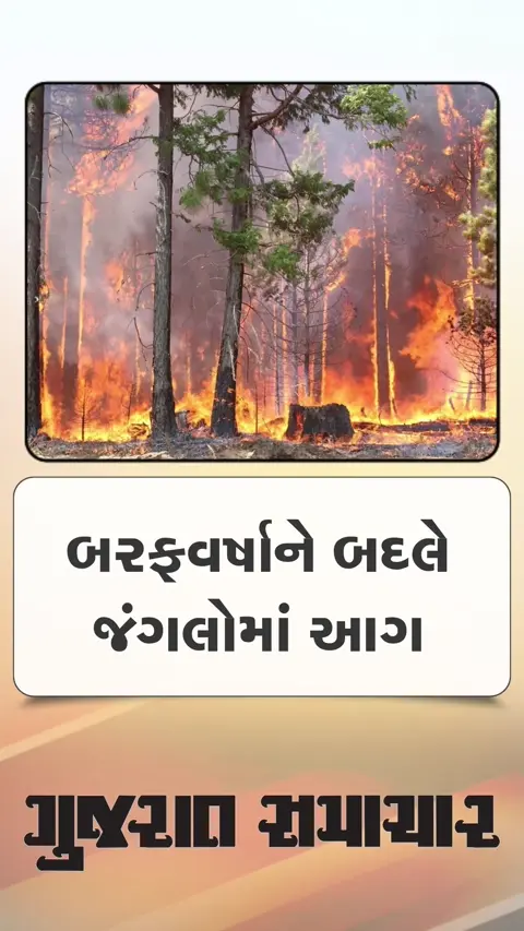 બરફવર્ષાને બદલે હિમાલયના જંગલોમાં આગ
