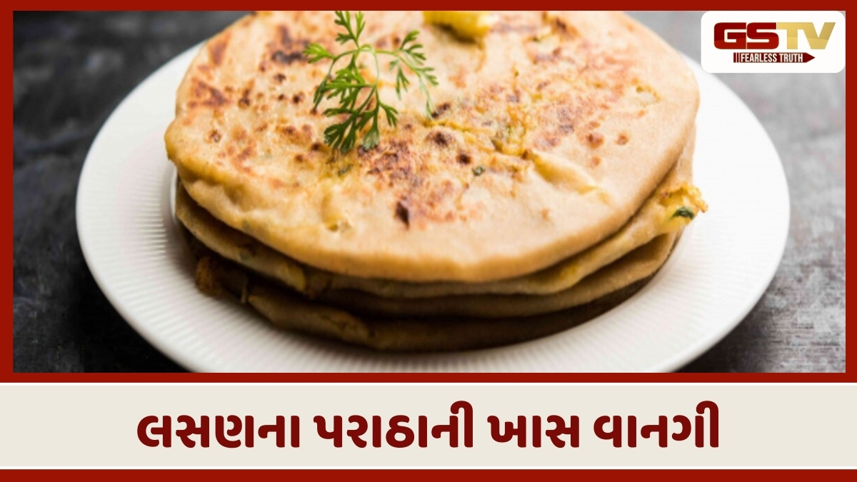 Recipe : ઢાબા સ્ટાઇલ લસણના પરાઠા ઘરે બનાવો ફટાફટ, શિયાળાની ઋતુ માટે શ્રેષ્ઠ છે આ રેસીપી
