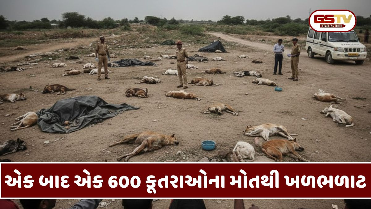 આ રાજ્યમાં એક બાદ એક 600 કૂતરાઓના થયા મોત, ઝેર અપાયું હોવાનો આરોપ, FIR નોંધાઈ