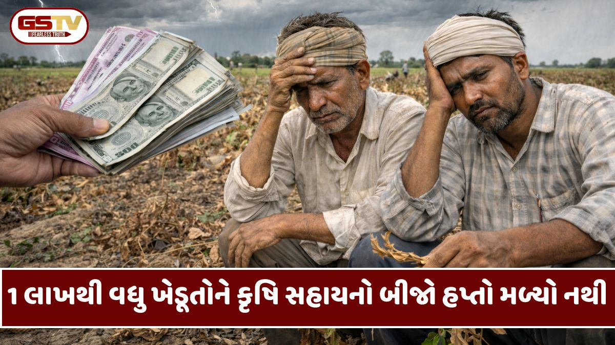 સરકારની લાલિયાવાડી; આર્થિક નુકસાની વચ્ચે 1 લાખથી વધુ ખેડૂતોને કૃષિ સહાયનો બીજો હપ્તો મળ્યો નથી