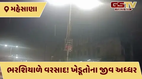 VIDEO: મહેસાણામાં ભરશિયાળે માવઠું: કમોસમી વરસાદના ઝાપટાથી વાતાવરણમાં પ્રસરી ઠંડક, એરંડા સહિતના રવિ પાકને નુકસાનની ભીતિ
