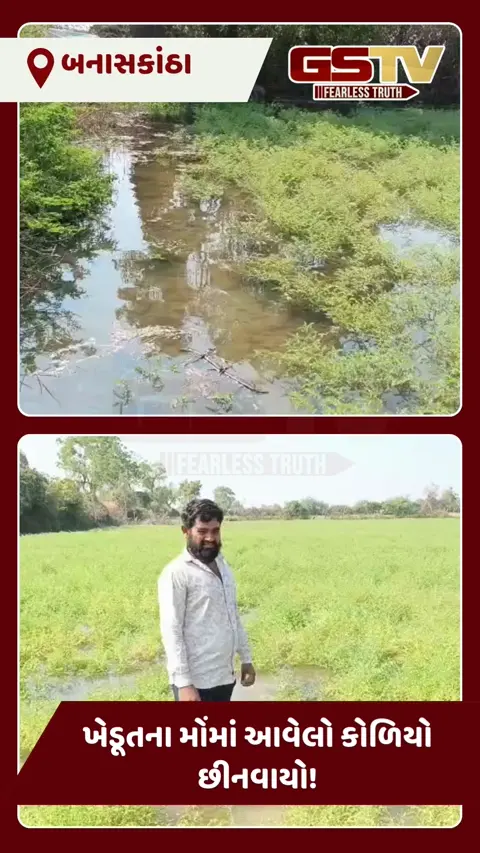 VIDEO: સુઈગામના ચાળા ગામે કેનાલમાં ગાબડું કે બેદરકારી? 12 કલાકથી પાણી ફરી વળતા ખેડૂતનો જીરું-ચણાનો પાક ખાખ