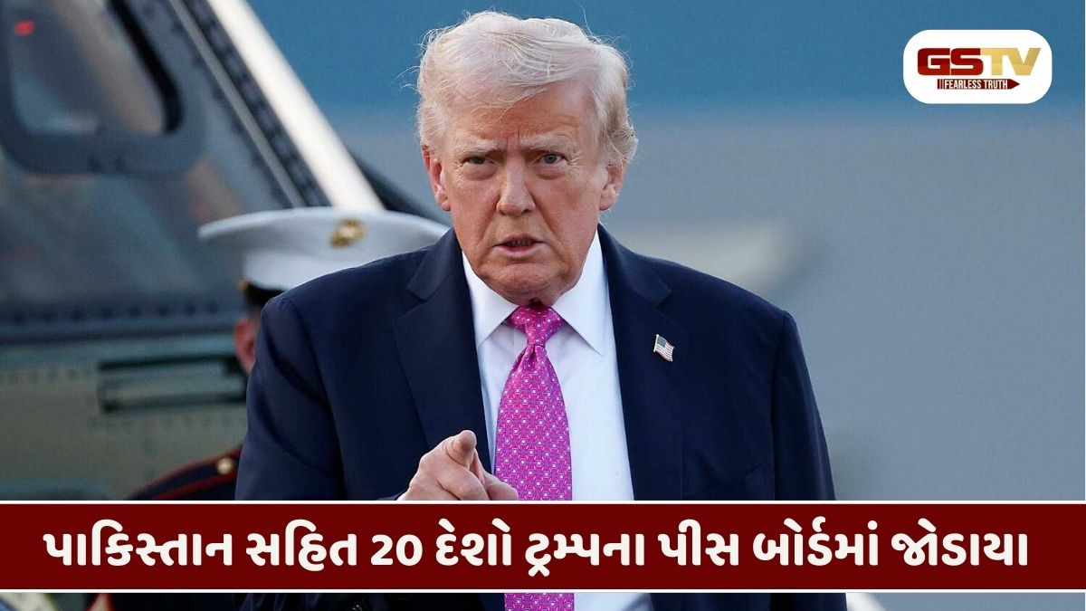 'હા, હું એક સરમુખત્યાર છું, પરંતુ ક્યારેક દુનિયાને તાનાશાહની જરૂર હોય છે', ડોનાલ્ડ ટ્રમ્પ
