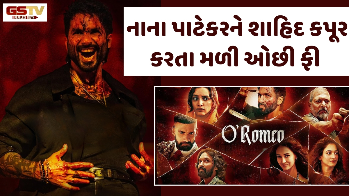 Shahid Kapoorએ 'O Romeo' ફિલ્મ માટે લીધી તગડી રકમ, નાના પાટેકર સહિત અન્ય એક્ટર્સને મળી ખૂબ જ ઓછી ફી