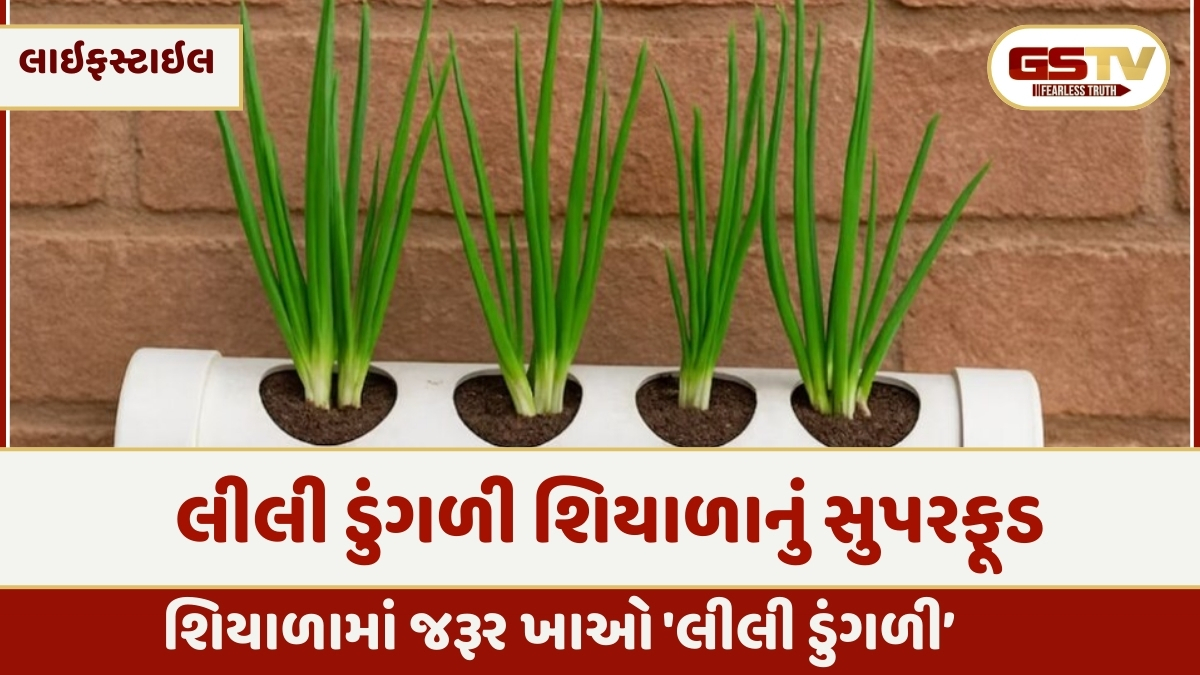 Health Tips : લીલી ડુંગળી શિયાળાનું સુપરફૂડ, સેવનથી સ્વાસ્થ્યને થાય છે અદ્દભૂત ફાયદાઓ 