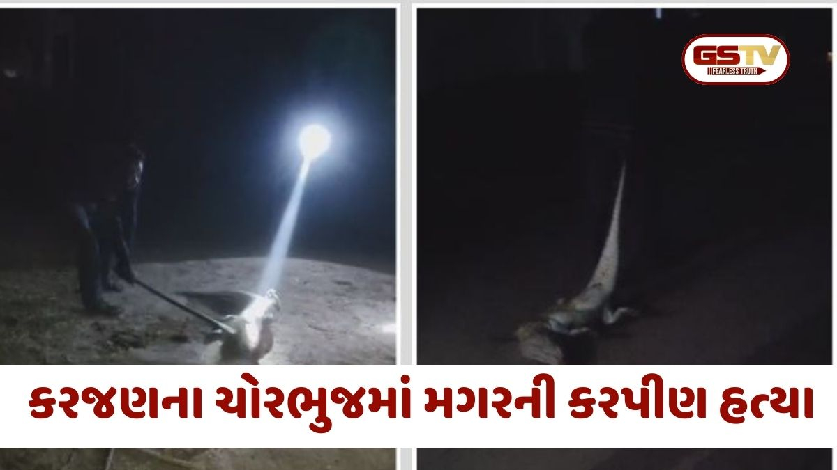 Vadodara: કરજણમાં લાકડીઓથી ફટકારી મગરની કરપીણ હત્યા, બે આરોપીની ધરપકડ