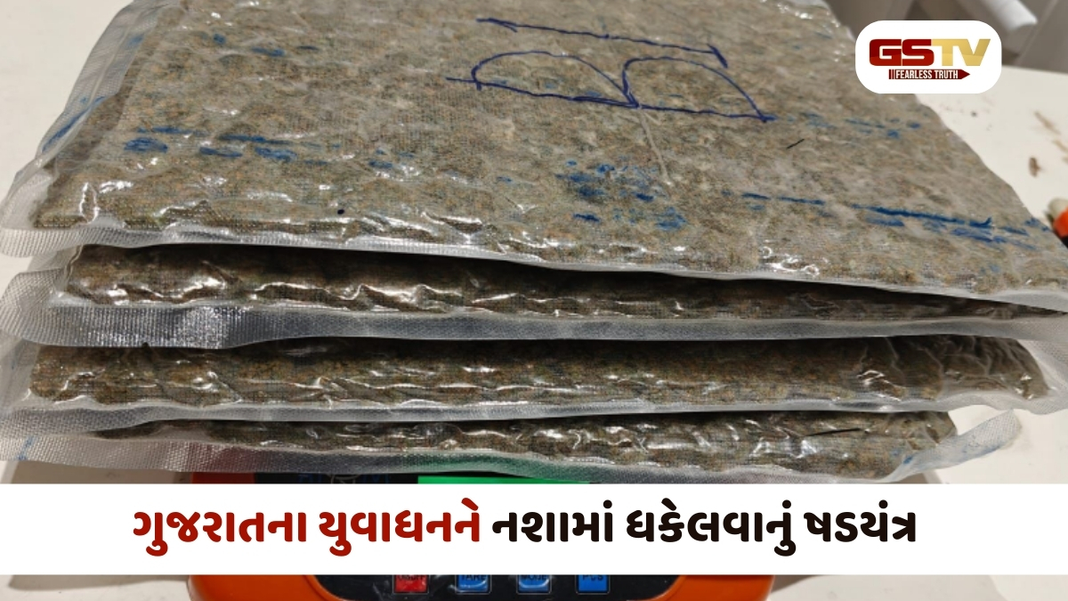 Ahmedabad news: એરપોર્ટથી 12 કરોડના  હાઈબ્રીડ ગાંજા સાથે 4 શખ્સો ઝડપાયા
