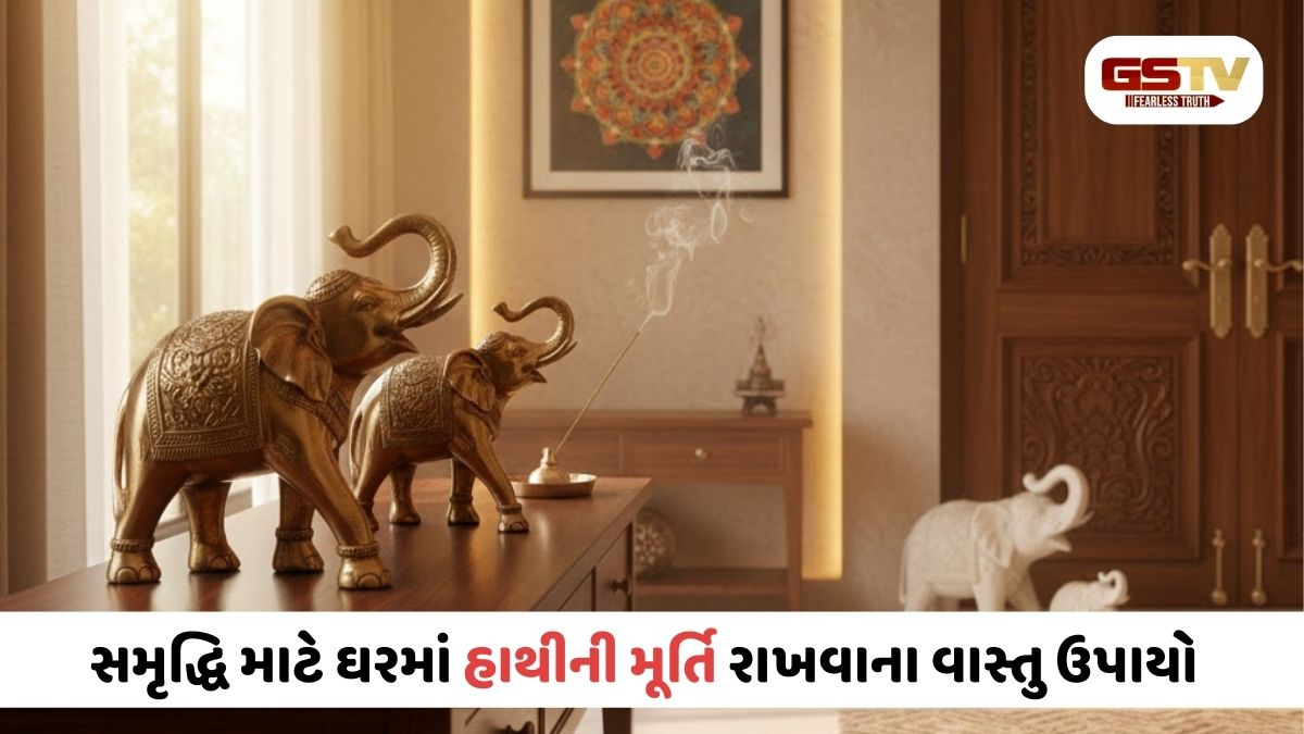 Vastu નિયમો: હાથીની મૂર્તિ ક્યાં રાખશો તો વધશે ધનભંડાર
