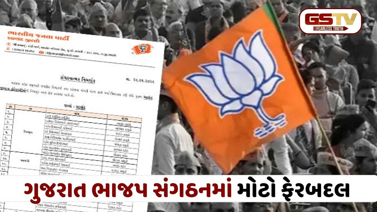 ભાજપમાં મોટા ફેરફાર! ગુજરાતના 3 જિલ્લામાં નવા નેતાઓને સોંપાઈ જવાબદારી,નવા હોદ્દેદારોની નિમણૂક, જુઓ સંપૂર્ણ લિસ્ટ