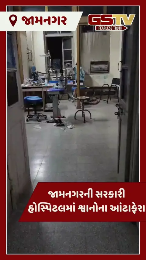 Jamnagar GG Hospital: આંખના વિભાગમાં શ્વાનોનો જમાવડો, Video Viral થતા ચકચાર