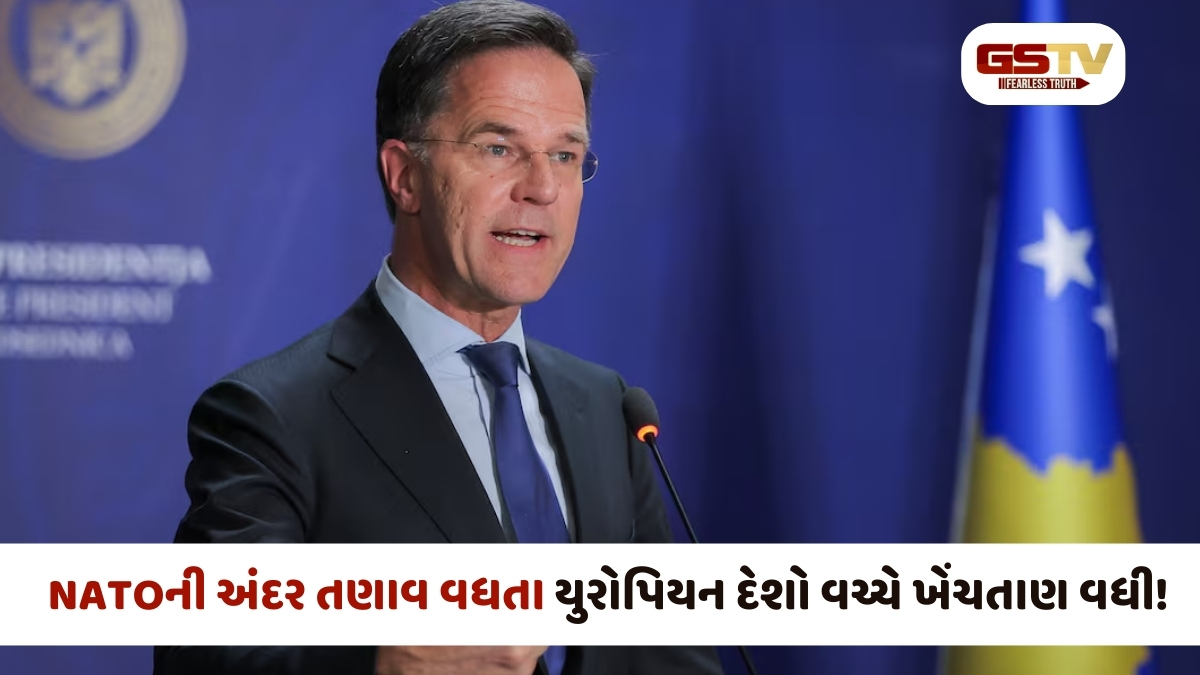 'સપના જોતા રહો, જો તમે અમેરિકા વિના વિચારો છો તો તમે... NATOના વડાએ EU ને શું કહ્યું?