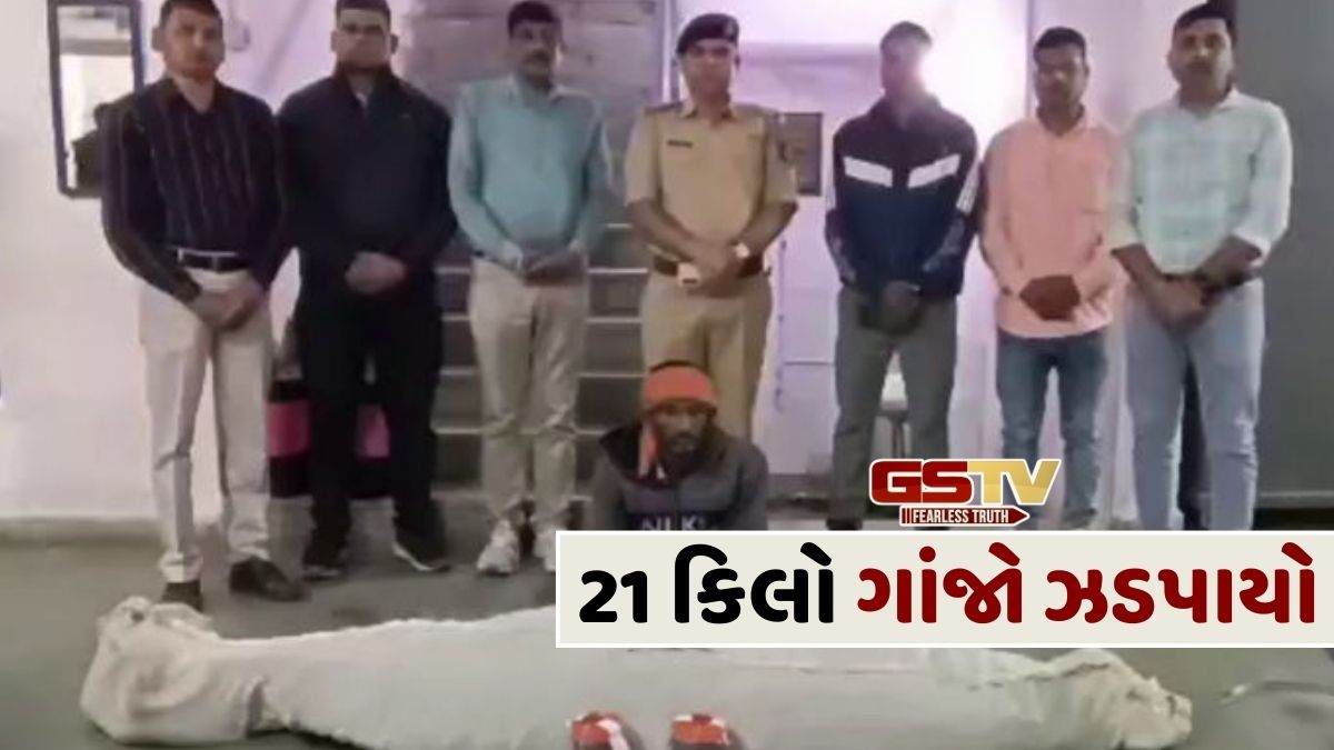 Panchmahal News: રૂ.10.55 લાખની કિંમતનો ગાંજો જપ્ત, તેની ખેતી કરનાર શખ્સની ધરપકડ