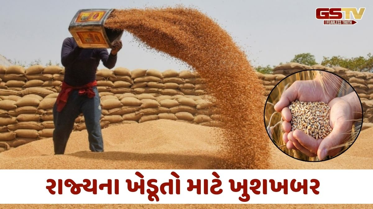 Gujarat news: રવિ સીઝનમાં ₹2,585ના ટેકાના ભાવે થશે ઘઉંની ખરીદી, જાણો નોંધણીની તારીખ અને નિયમો