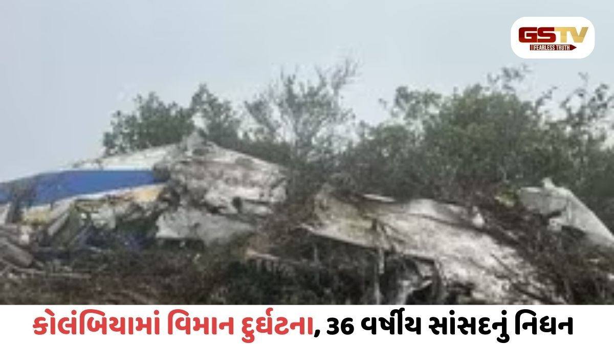 ભારત બાદ હવે કોલંબિયામાં Plane Crash, 36 વર્ષીય સાંસદ સહિત 15ના મોત