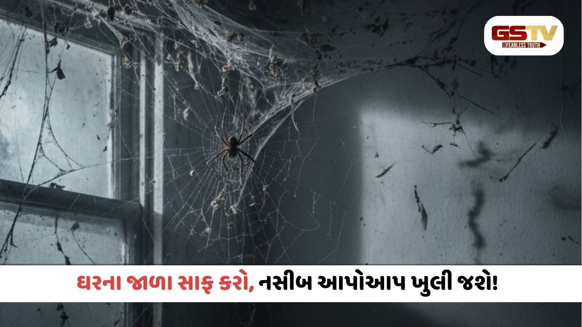 Religion/શું તમારા ઘરમાં પણ છે કરોળિયાના જાળા? જાણો કઈ રીતે રોકે છે સકારાત્મક ઉર્જા
