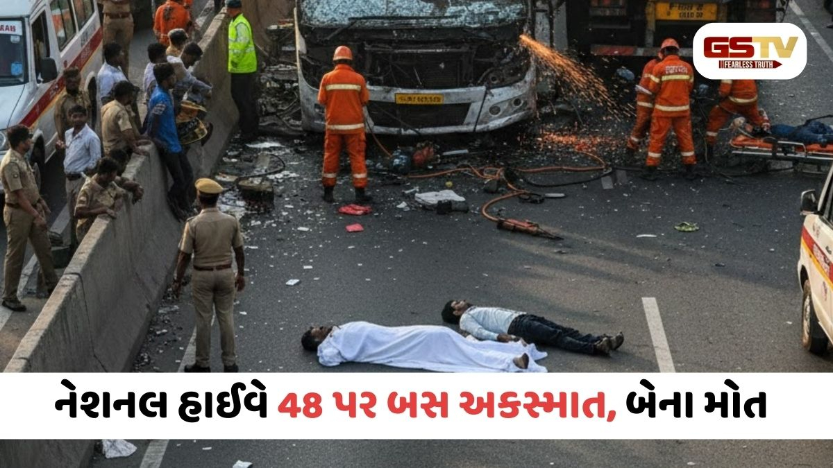 Vadodara/ કરજણ NH-48 પર ગમખ્વાર અકસ્માત: ઉભેલી ટ્રકમાં બસ ઘુસી, 2ના મોત, 10થી વધુ ઘાયલ