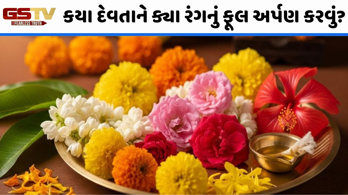 Religion: શુભ ફળ મેળવવા માટે કયા દેવતાને કેવા રંગનું ફૂલ ચઢાવવામાં આવે છે? અહીં જાણો