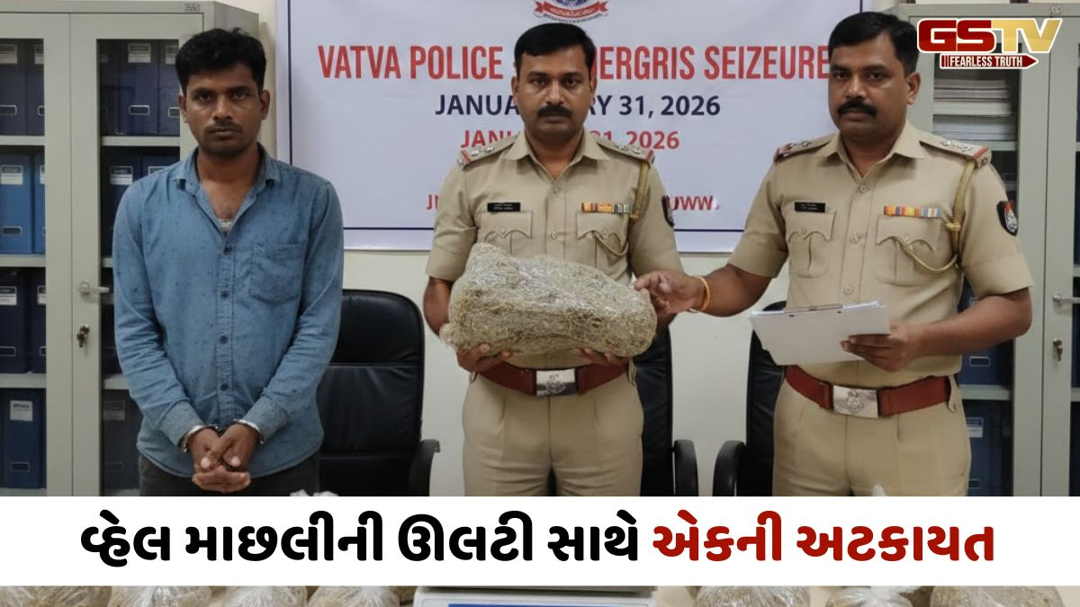 Ahmedabad news: એમ્બરગ્રીસ વેચવા મહુવાથી આવેલો શખ્સ પકડાયો, કરોડોનો મુદ્દામાલ જપ્ત