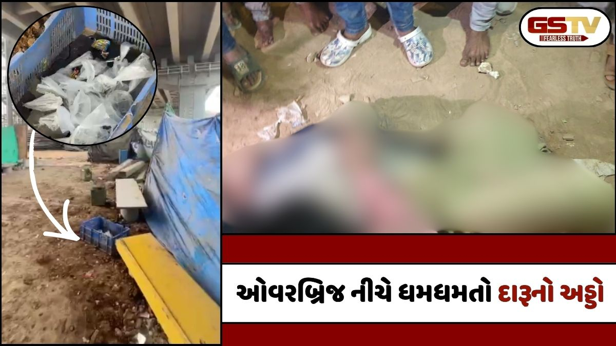 Ahmedabad news: કારની ટક્કરથી યુવક બ્રિજ પરથી નીચે પટકાતા મોત, 20 મીટર દૂર જ દેશી દારૂનો VIP સુવિધાવાળો અડ્ડો