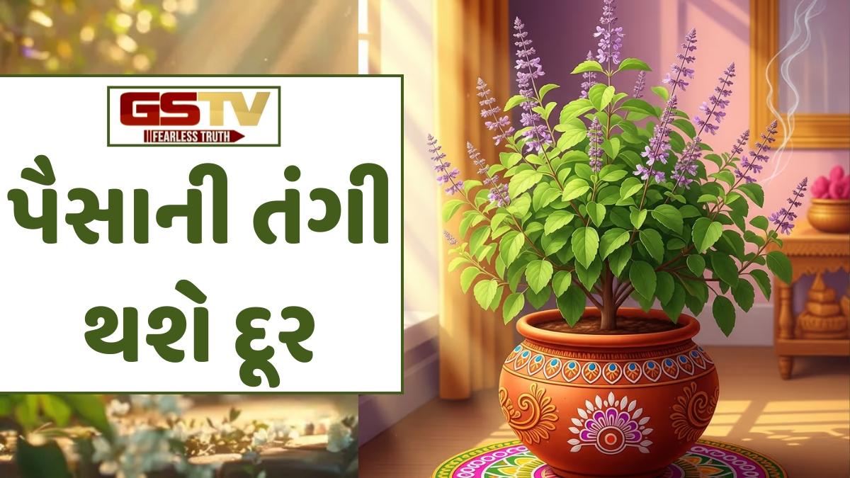 Religion: તિજોરીમાં તુલસીના મૂળ રાખવાથી તમારા પર થશે લક્ષ્મીની કૃપા, જાણો તેનું જ્યોતિષીય મહત્ત્વ