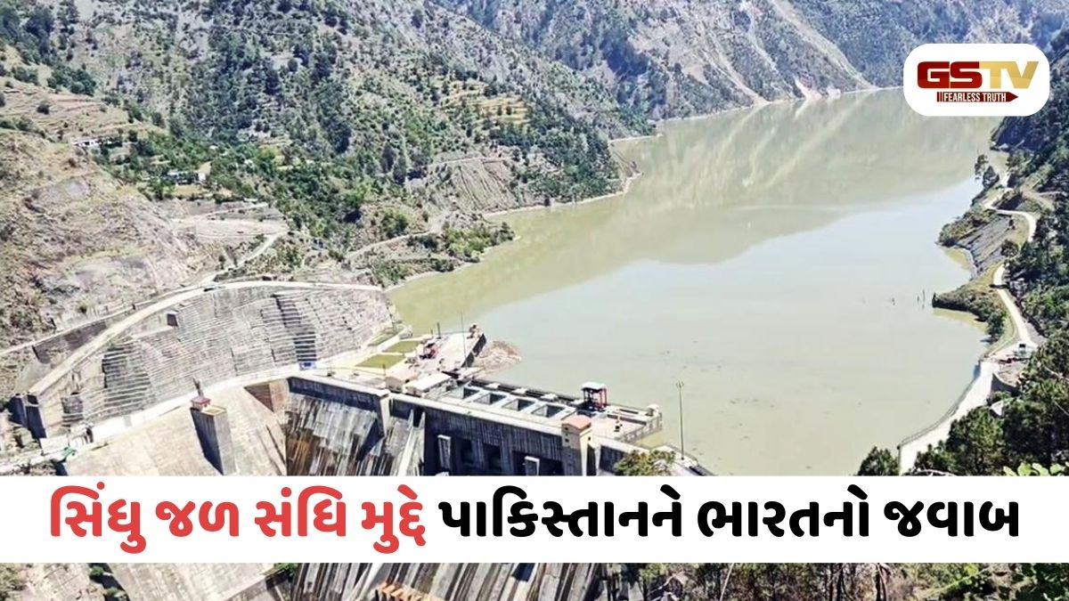 'કોર્ટ જ ગેરકાયદે, તો ચુકાદો માનવાનો સવાલ જ નથી!' સિંધુ જળ સંધિ પર પાકિસ્તાનને ભારતની લપડાક