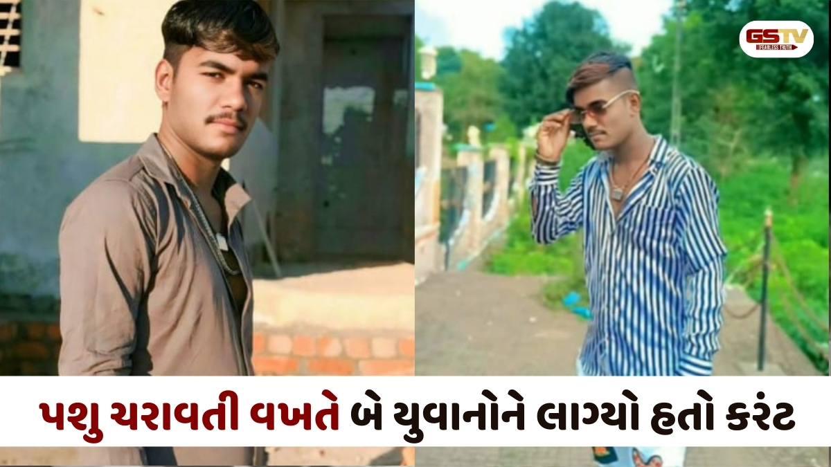 Aravalli news: મેઘરજમાં પશુ ચરાવનાર બે યુવાનોને લાગ્યો કરંટ, એકનું ઘટનાસ્થળ પર જ મોત